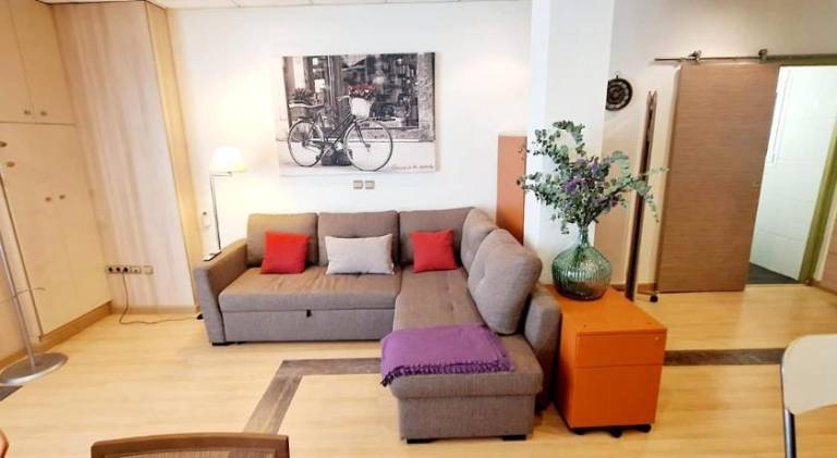 Charming rental apartment | Close to Maestranza | Pets are welcome in Seville