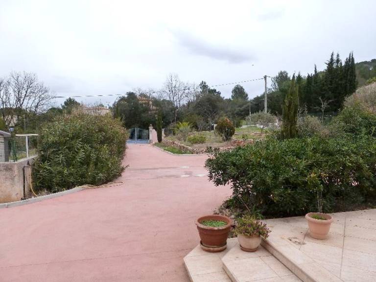 foto11
