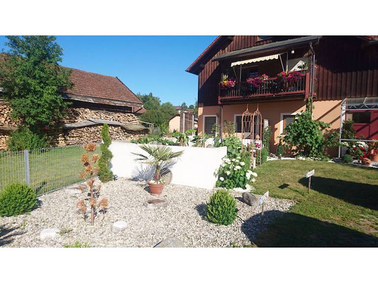 foto21
