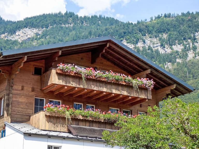 Ferienwohnung in Brienzwiler,  für max. 4 Gäste