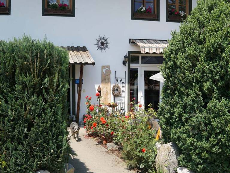 foto7