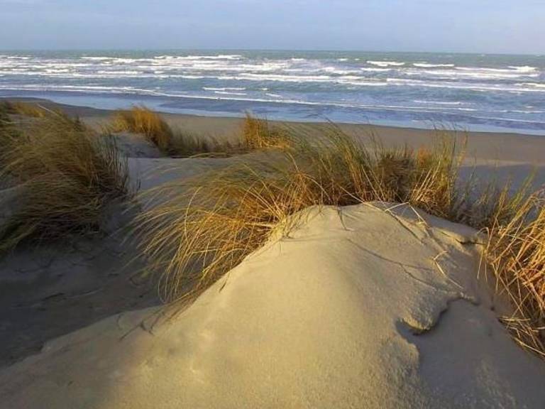 foto21