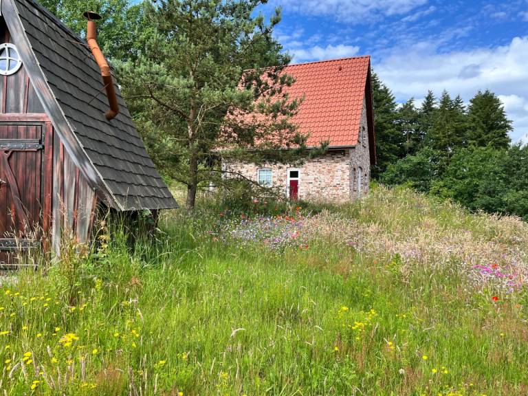 Vacation home with terrace, BBQ & garden | Nature view — photo 3