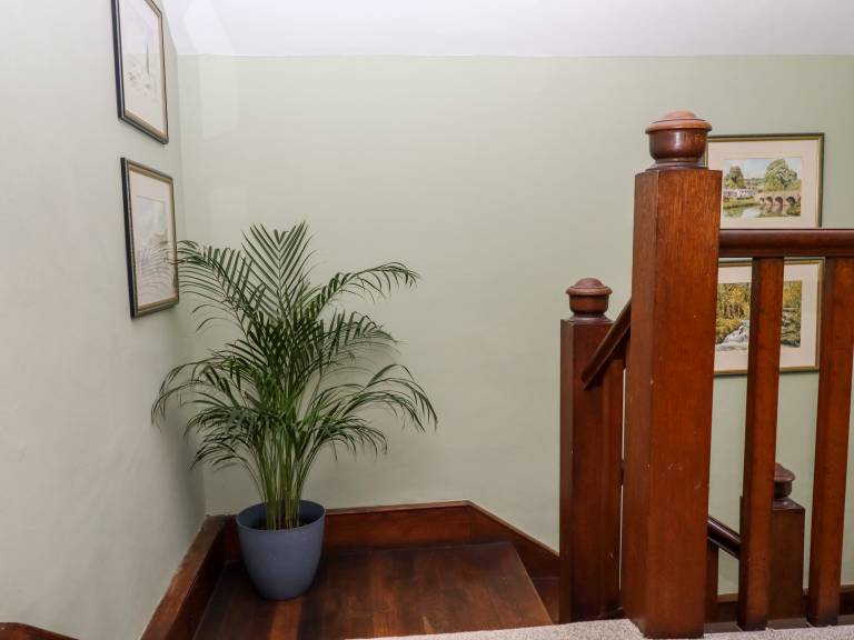 foto38