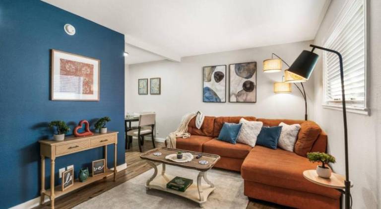 Nice holiday apartment | Perfect for remote work | Dogs allowed in Arlington, TX