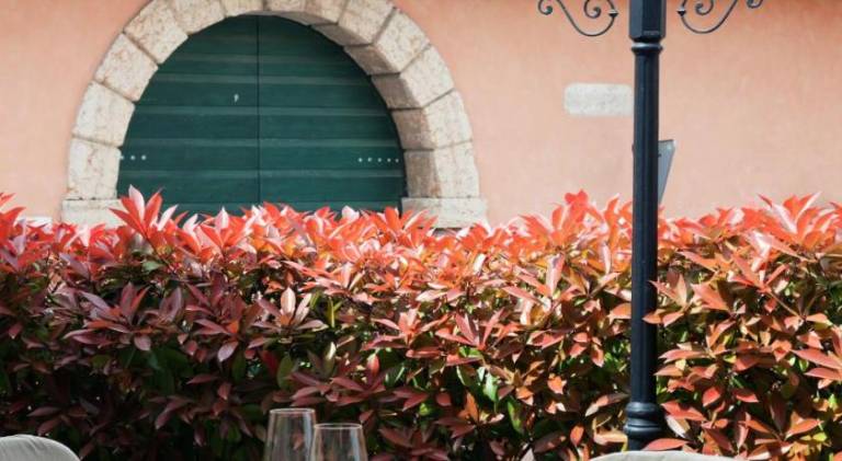 Hotel Pinamonte — photo 5