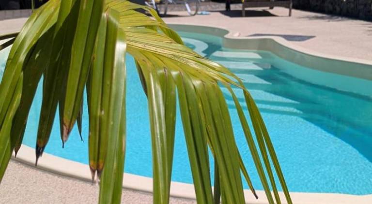 Rental apartment with pool | Dogs allowed — photo 3