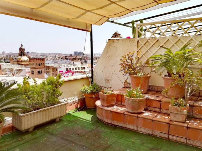 Holiday apartment | Next to Seville Cathedral | Pets allowed — photo 4