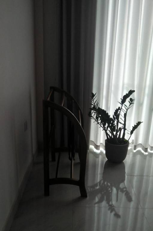 foto26