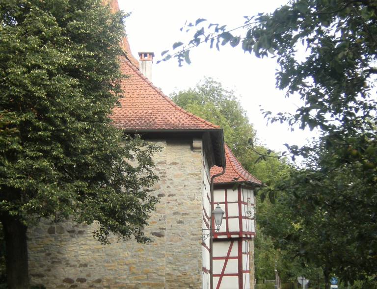 foto23