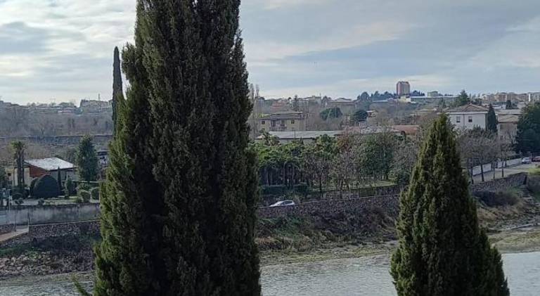 foto40