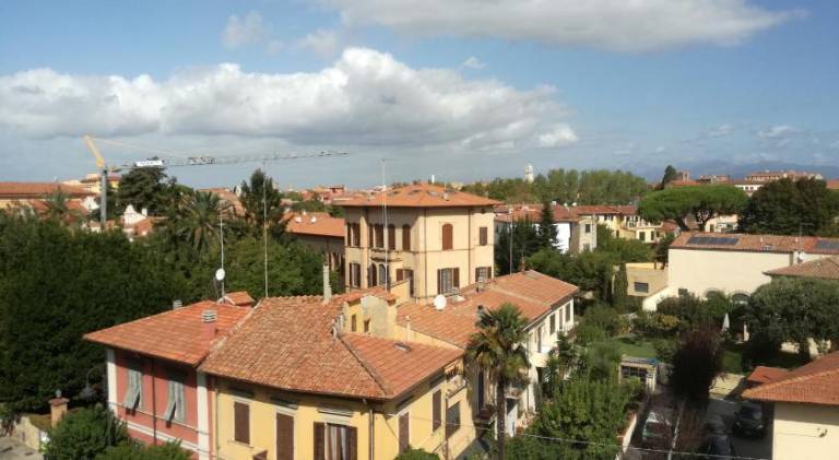 Treehouse - Spacious Private Rooms in Central Pisa Near Station & Airport in Pisa