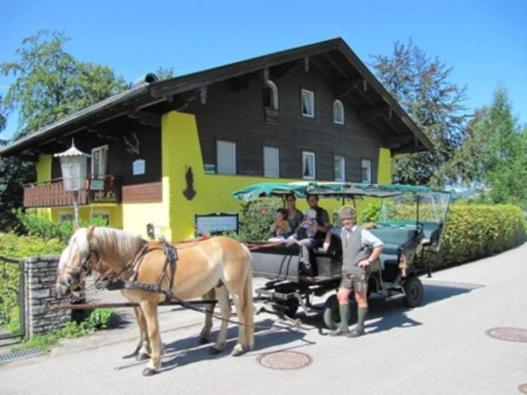 Ferienwohnung in Sankt Wolfgang im Salzkammergut,  für max. 2 Gäste Ferienwohnung in Sankt Wolfgang im Salzkammergut,  für max. 2 Gäste