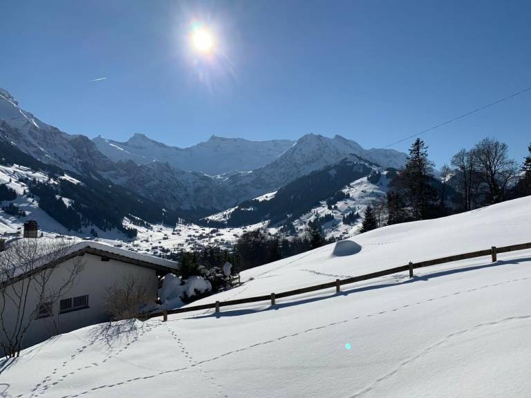 Ferienhaus  Adelboden