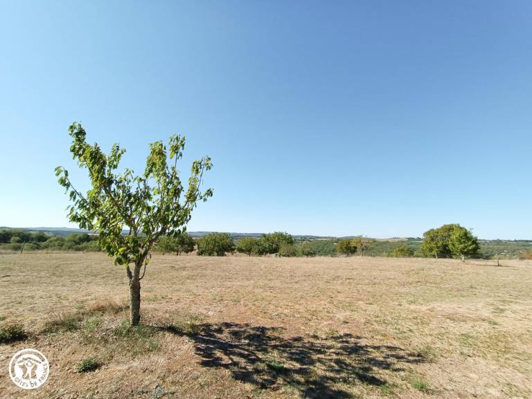 foto11