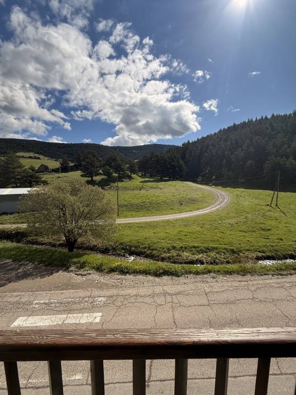 foto11