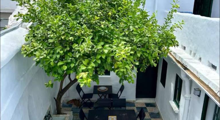 House with patio | Close to Plaza de la Corredera | Perfect for remote work — photo 5