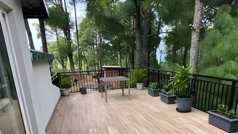 foto43
