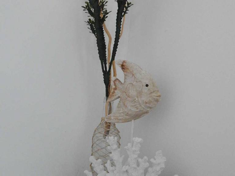 foto8