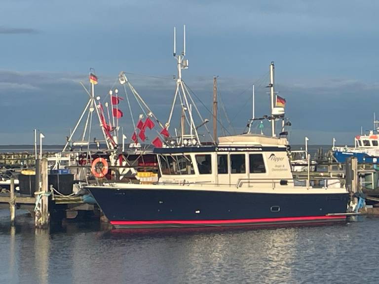 foto20