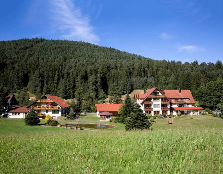 foto6