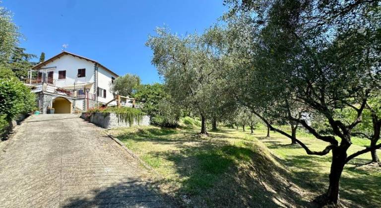 Agriturismo Uliveto Bartolomeo in Lavagna