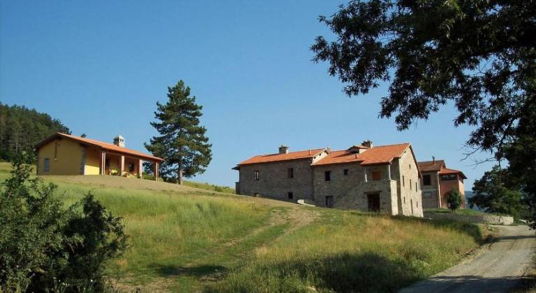 foto11