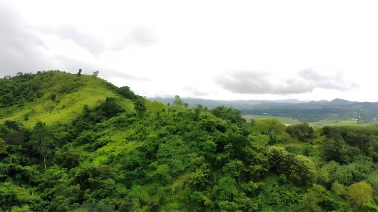 Khaokho Pimphupha Farmstay - Pimpha Hut พิมฟ้า — photo 4