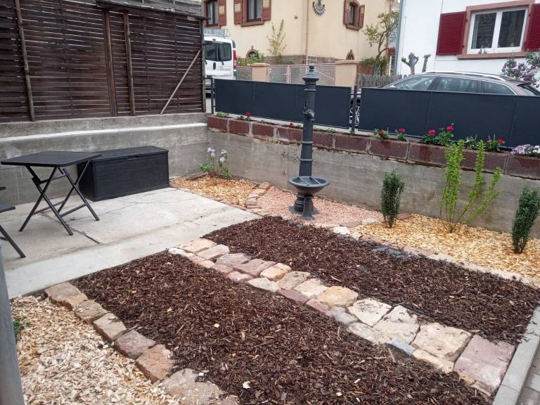 foto5