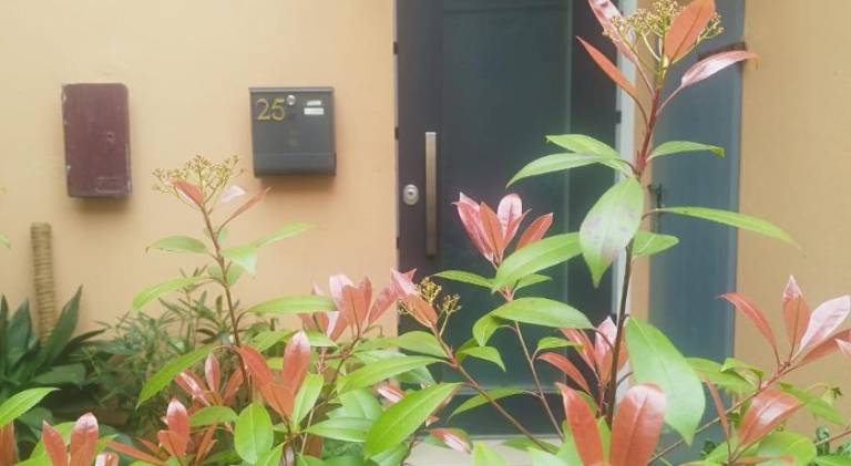Holiday apartment with 1 room for 3 persons — photo 5