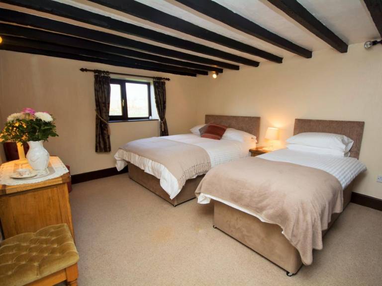 Charming cottage with garden | Pets are welcome — photo 4