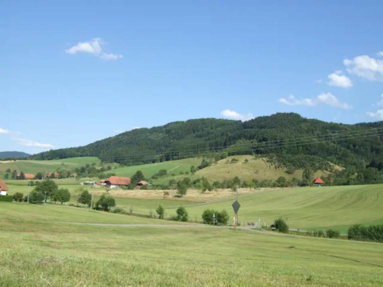 foto15
