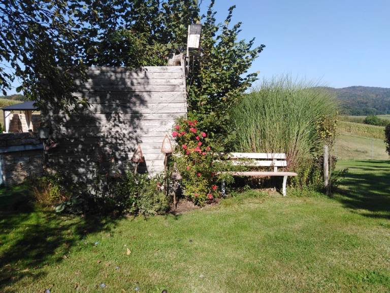 foto16