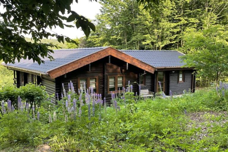 Ferienhaus Marsberg