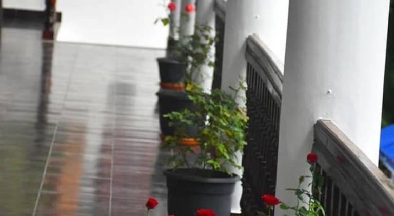 Apartment with yard & terrace — photo 4