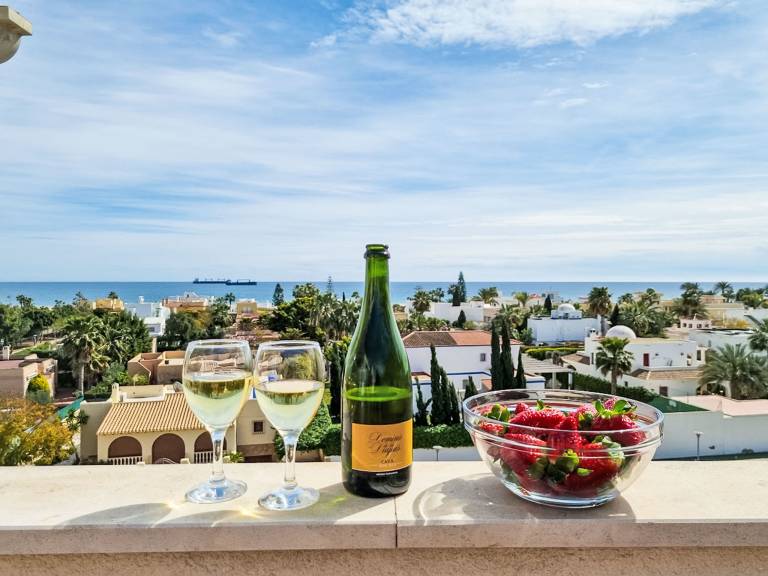 Children-friendly wonderful holiday apartment with patio, jacuzzi & pool | Sea view | Close to the beach | Good for workation | Pet-friendly — photo 5