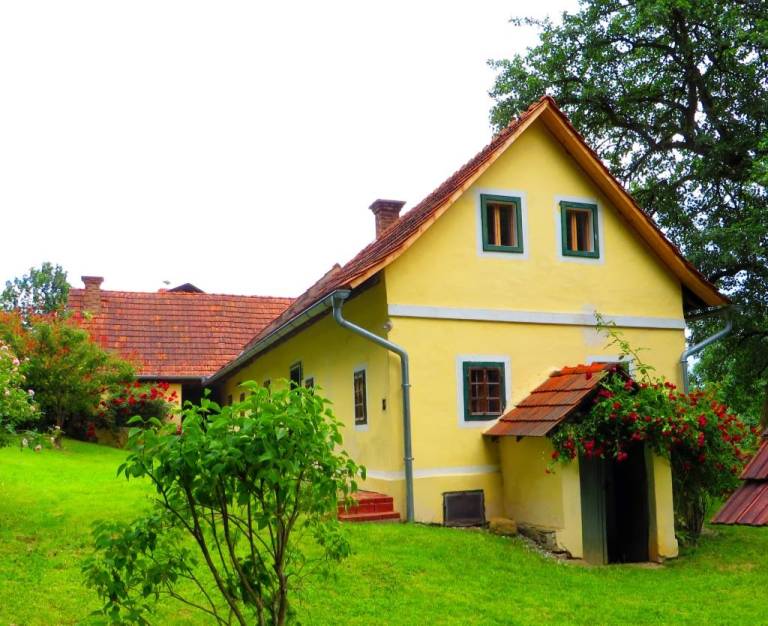 foto1