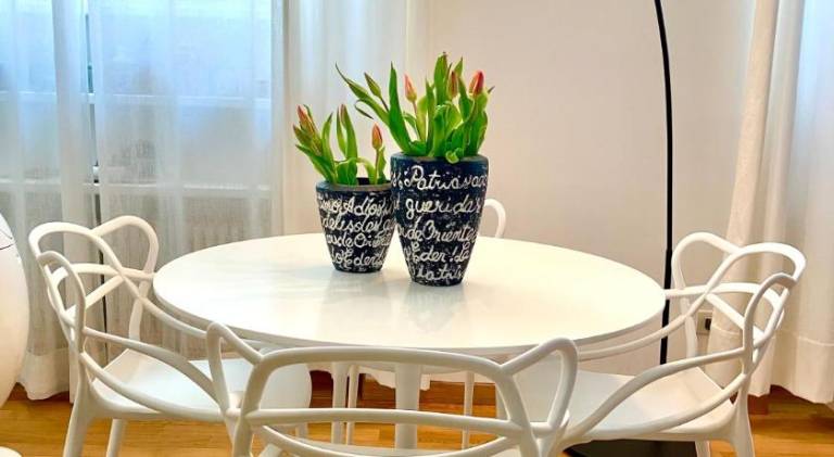 Wonderful rental apartment | Pets allowed in Turin