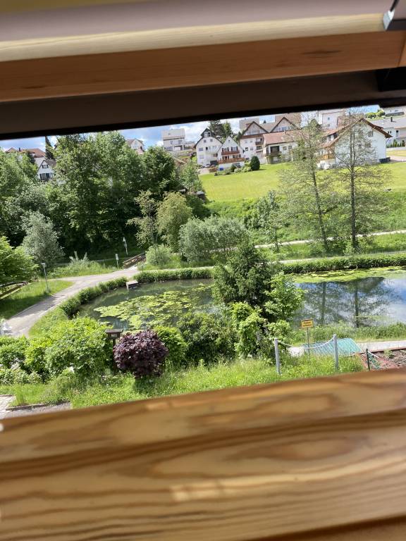 foto7