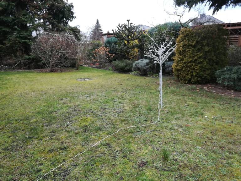foto20