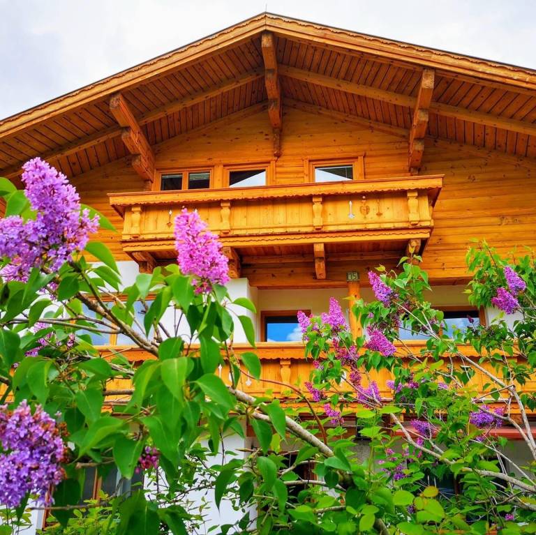 Vacation home with patio, sauna & garden | Perfect for remote work — photo 2