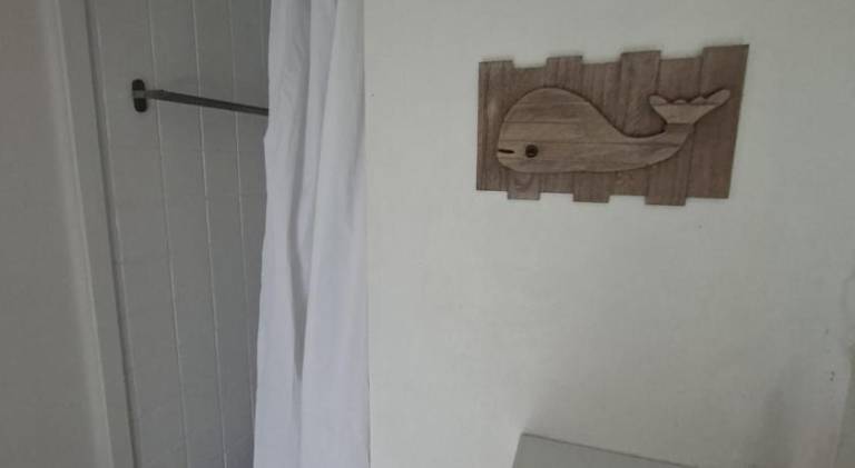foto39