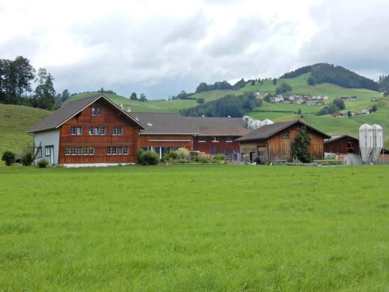 Ferienwohnung Stein