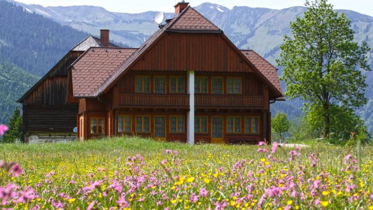 Ferienwohnung  Donnersbachwald