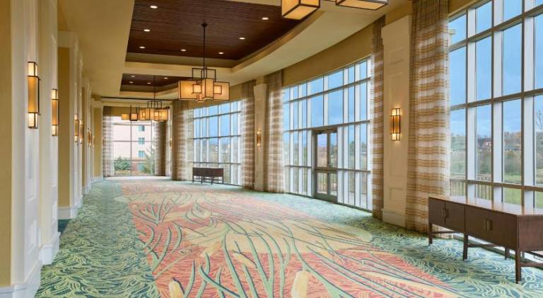 MeadowView Conference Resort & Convention Center — photo 4