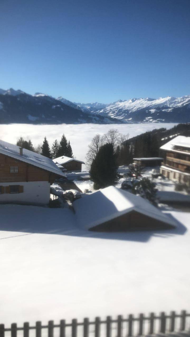 foto1