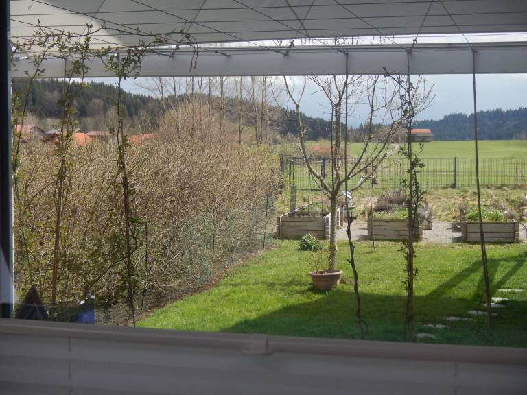 foto12