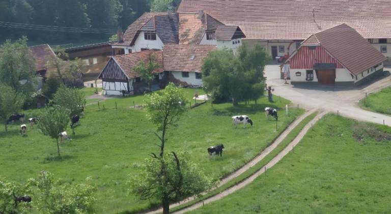 Ferienhaus Hilzingen