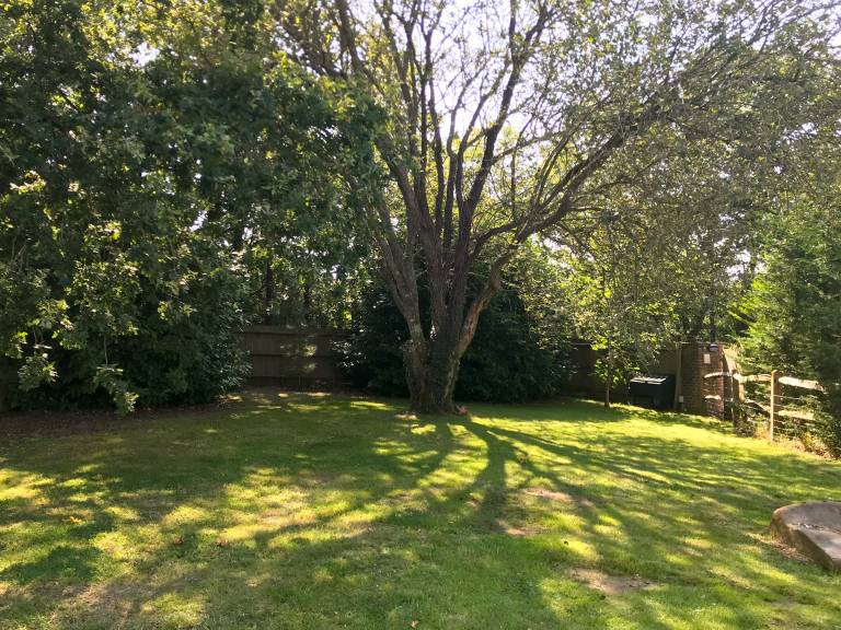 foto12