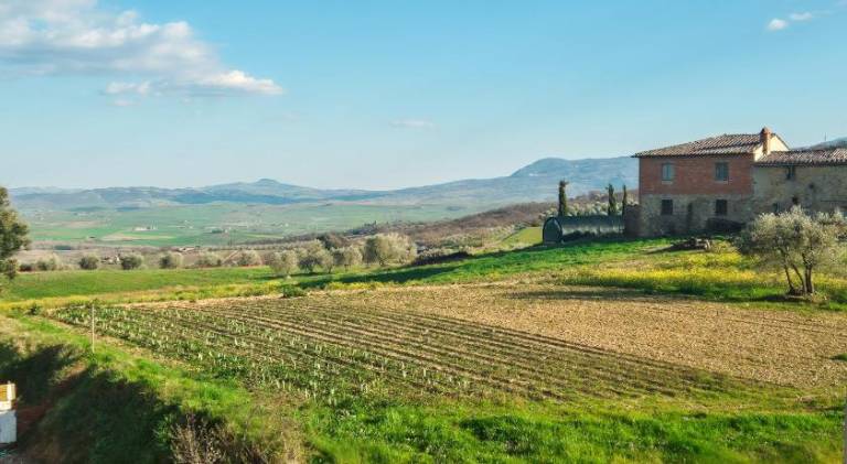 Rental apartment | Pets are welcome — photo 5